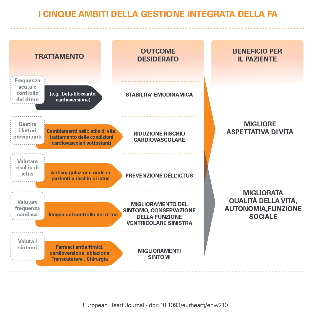 terapia fibrillazione atriale