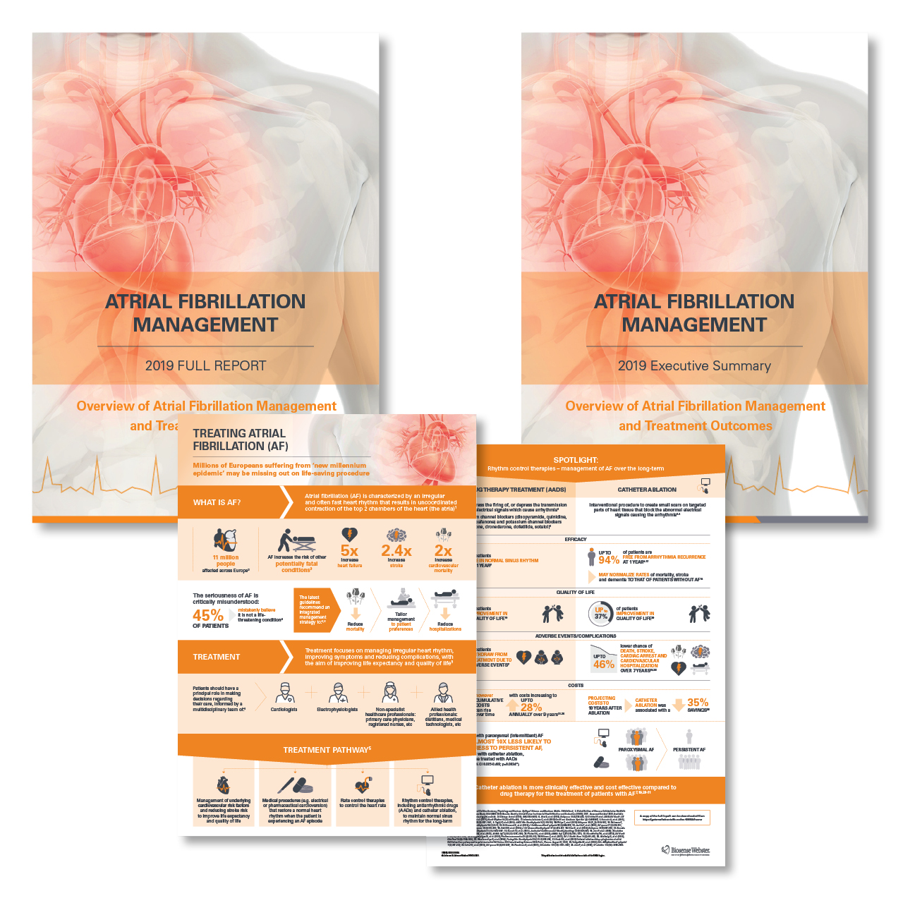 Atrial Fibrillation Management: 2019 Executive Summary